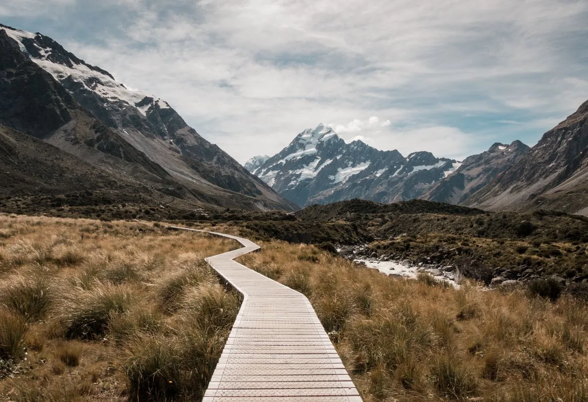 Travel newsletter